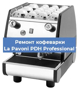 Чистка кофемашины La Pavoni PDH Professional от кофейных масел в Перми
